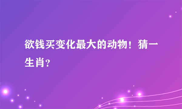 欲钱买变化最大的动物！猜一生肖？