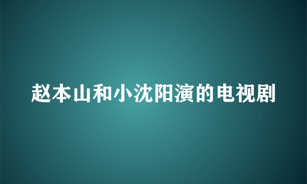 赵本山和小沈阳演的电视剧