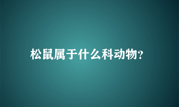 松鼠属于什么科动物？