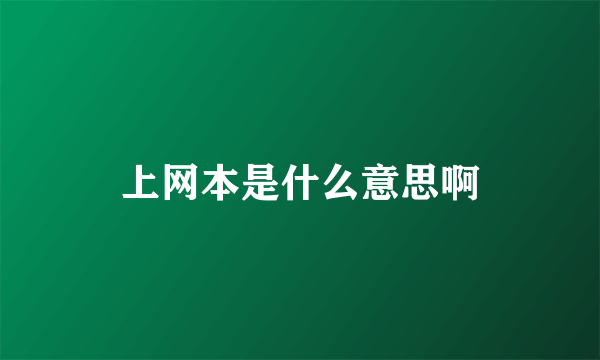 上网本是什么意思啊