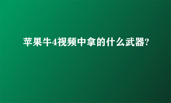 苹果牛4视频中拿的什么武器?