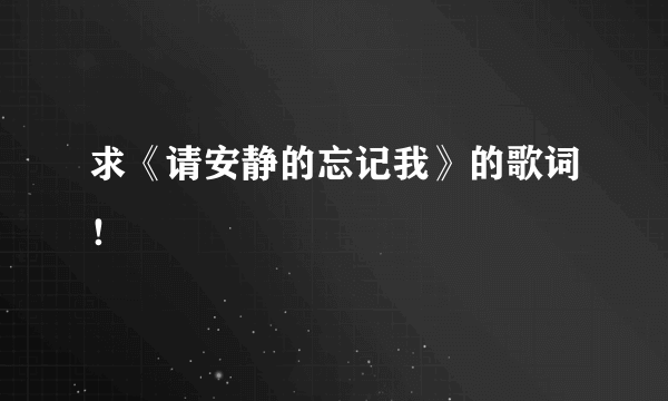 求《请安静的忘记我》的歌词！