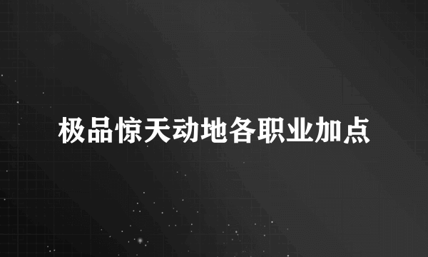 极品惊天动地各职业加点