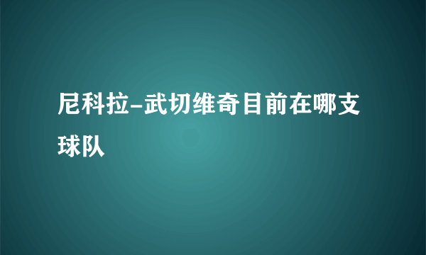 尼科拉-武切维奇目前在哪支球队