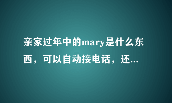 亲家过年中的mary是什么东西，可以自动接电话，还能打电话，可以跟人对话？