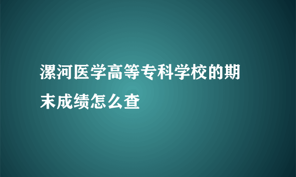 漯河医学高等专科学校的期 末成绩怎么查