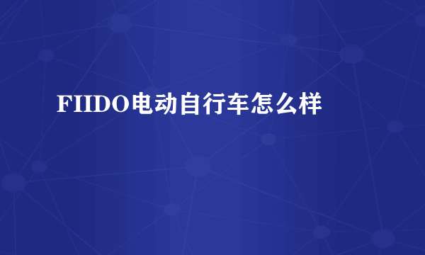 FIIDO电动自行车怎么样