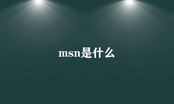 msn是什么