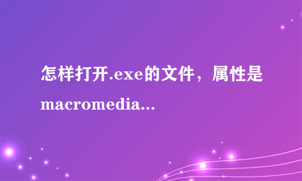 怎样打开.exe的文件，属性是macromedia projector