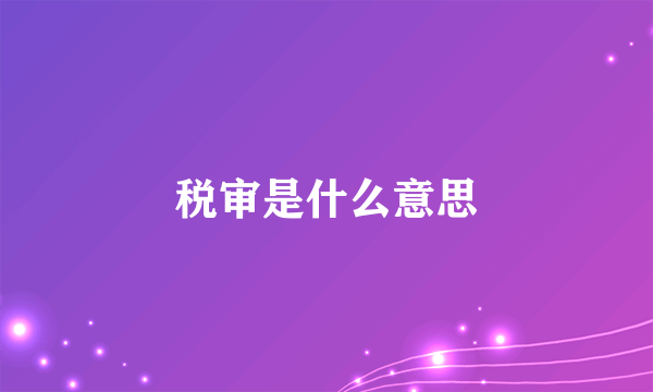 税审是什么意思