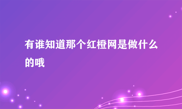 有谁知道那个红橙网是做什么的哦