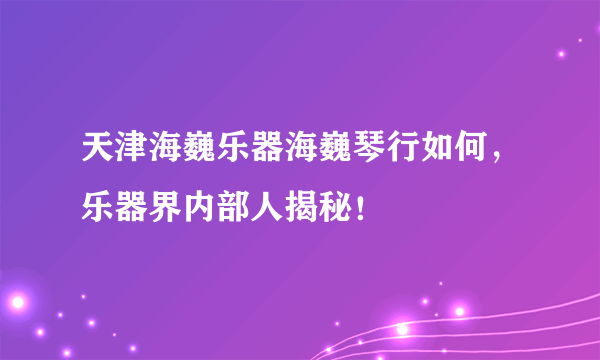 天津海巍乐器海巍琴行如何，乐器界内部人揭秘！