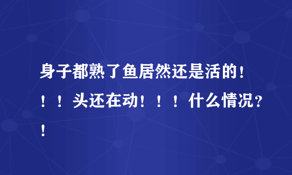 身子都熟了鱼居然还是活的！！！头还在动！！！什么情况？！