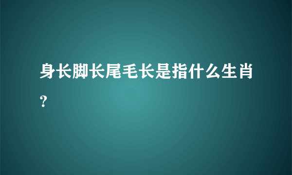 身长脚长尾毛长是指什么生肖？