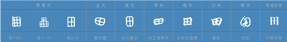 田字可以组什么词？