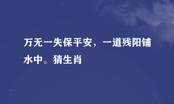 万无一失保平安，一道残阳铺水中。猜生肖