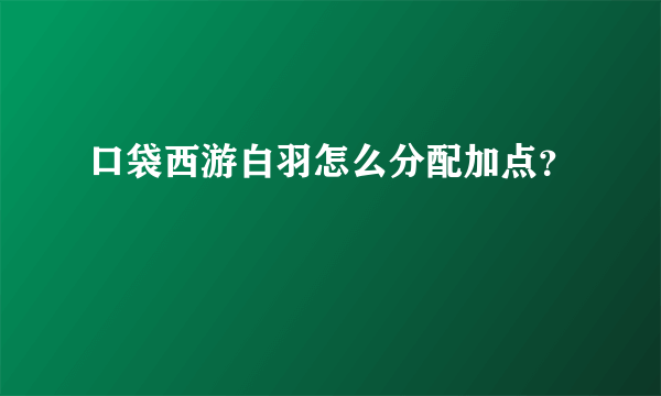 口袋西游白羽怎么分配加点？