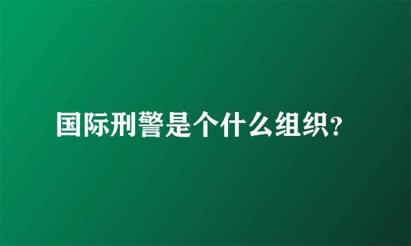 国际刑警是个什么组织？