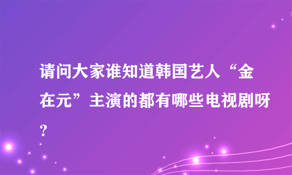 请问大家谁知道韩国艺人“金在元”主演的都有哪些电视剧呀？