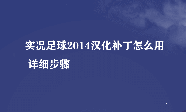 实况足球2014汉化补丁怎么用 详细步骤