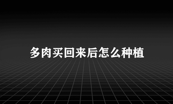 多肉买回来后怎么种植