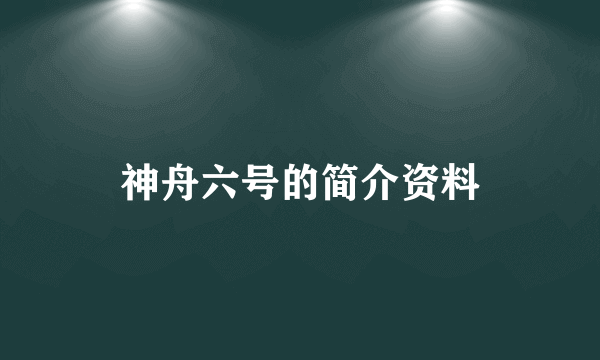 神舟六号的简介资料