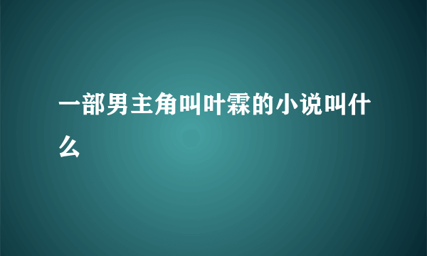 一部男主角叫叶霖的小说叫什么