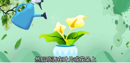 啤酒浇花的正确方法是什么？