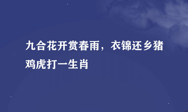 九合花开赏春雨，衣锦还乡猪鸡虎打一生肖