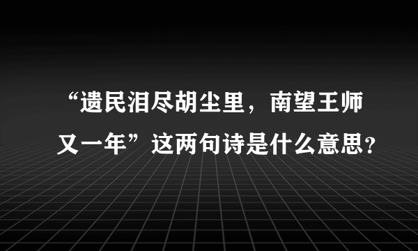 “遗民泪尽胡尘里，南望王师又一年”这两句诗是什么意思？