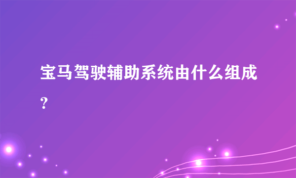 宝马驾驶辅助系统由什么组成？