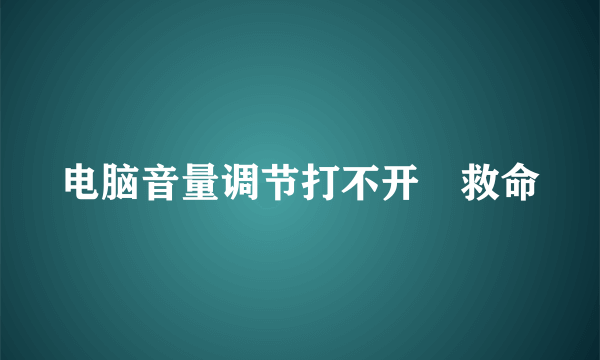 电脑音量调节打不开 救命