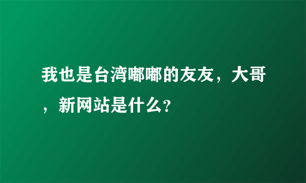 我也是台湾嘟嘟的友友，大哥，新网站是什么？