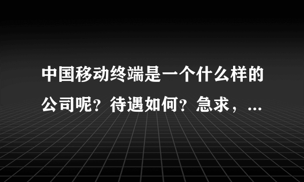 中国移动终端是一个什么样的公司呢？待遇如何？急求，了解的谈一下吧~