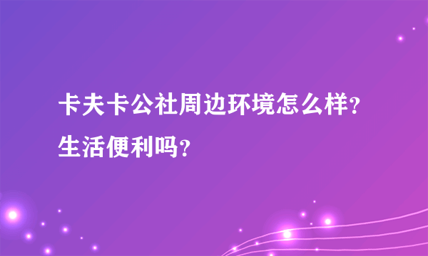 卡夫卡公社周边环境怎么样？生活便利吗？