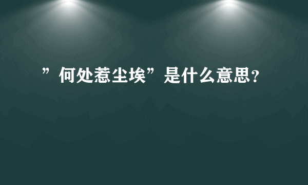 ”何处惹尘埃”是什么意思？