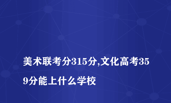 
美术联考分315分,文化高考359分能上什么学校

