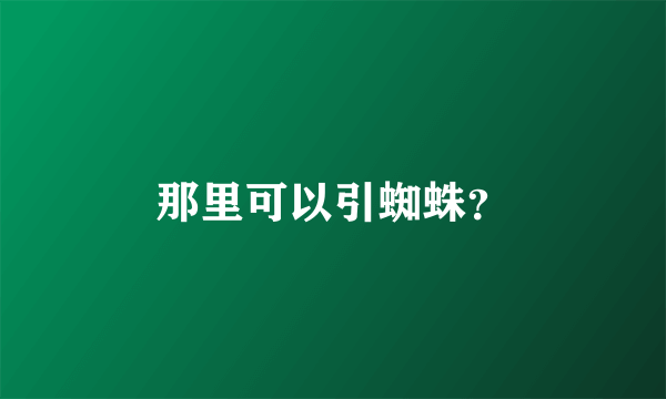 那里可以引蜘蛛？