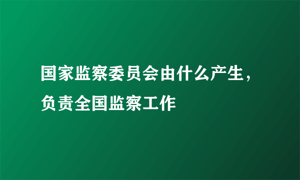 国家监察委员会由什么产生，负责全国监察工作