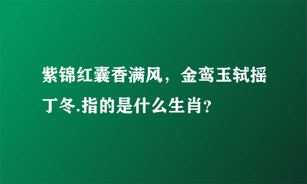 紫锦红囊香满风，金鸾玉轼摇丁冬.指的是什么生肖？