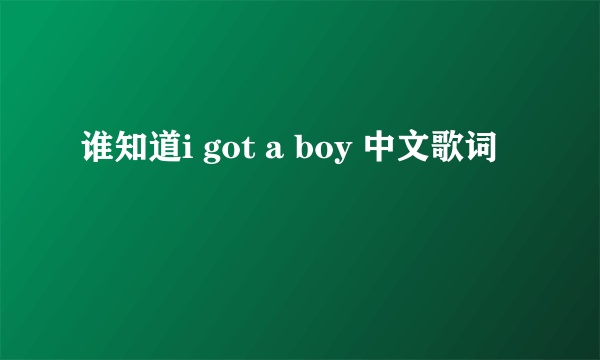 谁知道i got a boy 中文歌词