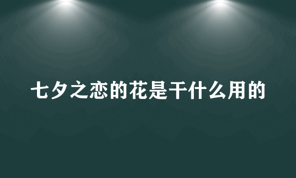 七夕之恋的花是干什么用的