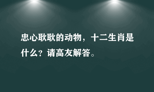 忠心耿耿的动物，十二生肖是什么？请高友解答。