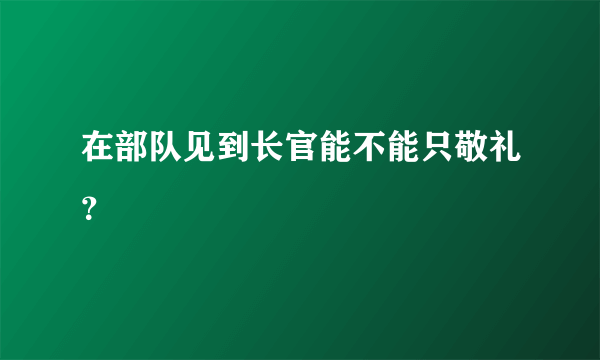 在部队见到长官能不能只敬礼？