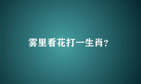 雾里看花打一生肖？