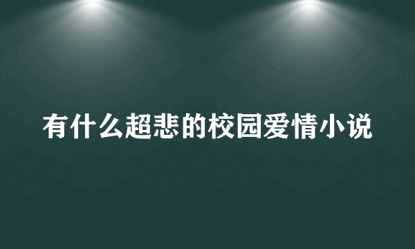 有什么超悲的校园爱情小说