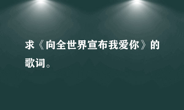 求《向全世界宣布我爱你》的歌词。