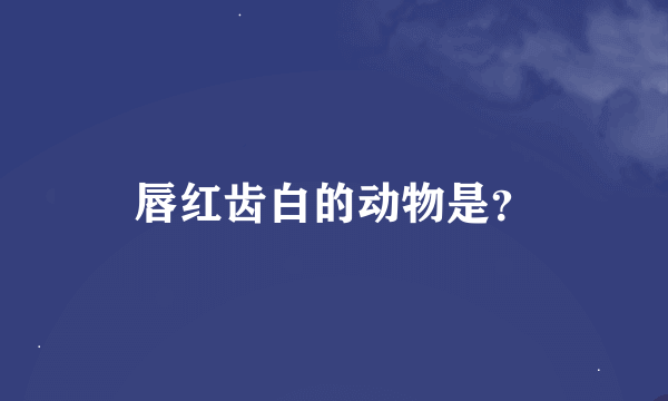 唇红齿白的动物是？