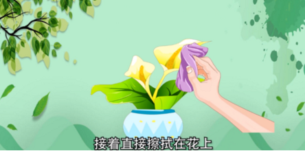 啤酒浇花的正确方法是什么？