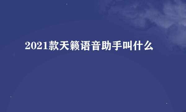 2021款天籁语音助手叫什么